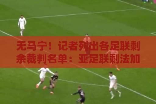 无马宁!记者列出各足联剩余裁判名单:亚足联剩法加尼、马哈德迈 无马宁!记者列出各足联剩余裁判名单:亚足联剩法加尼、马哈德迈