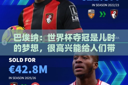 巴埃纳:世界杯夺冠是儿时的梦想,很高兴能给人们带去一点快乐 巴埃纳:世界杯夺冠是儿时的梦想,很高兴能给人们带去一点快乐