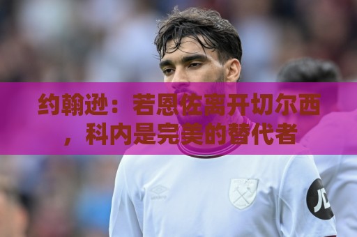 约翰逊:若恩佐离开切尔西,科内是完美的替代者 约翰逊:若恩佐离开切尔西,科内是完美的替代者