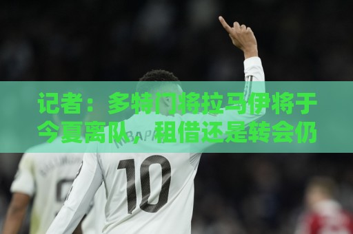 记者：多特门将拉马伊将于今夏离队，租借还是转会仍未确定