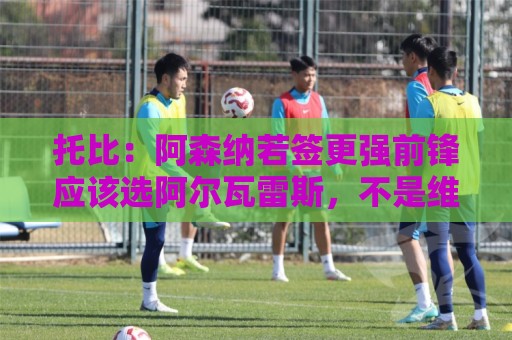 托比:阿森纳若签更强前锋应该选阿尔瓦雷斯,不是维尼修斯 托比:阿森纳若签更强前锋应该选阿尔瓦雷斯,不是维尼修斯