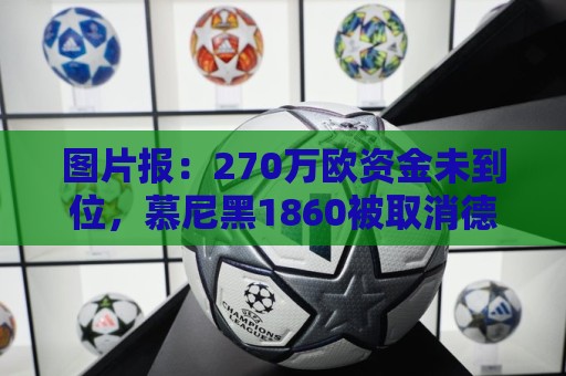图片报:270万欧资金未到位,慕尼黑1860被取消德丙参赛资格 图片报:270万欧资金未到位,慕尼黑1860被取消德丙参赛资格