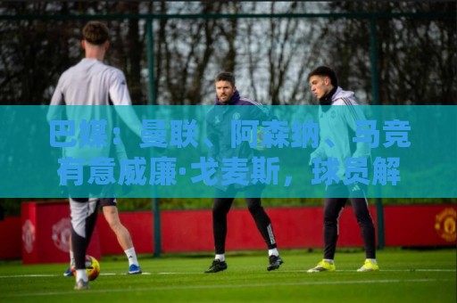 巴媒：曼联、阿森纳、马竞有意威廉·戈麦斯，球员解约金8000万欧