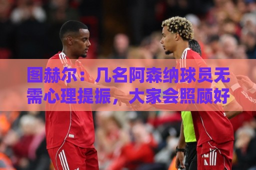 图赫尔:几名阿森纳球员无需心理提振,大家会照顾好伤心的埃泽 图赫尔:几名阿森纳球员无需心理提振,大家会照顾好伤心的埃泽