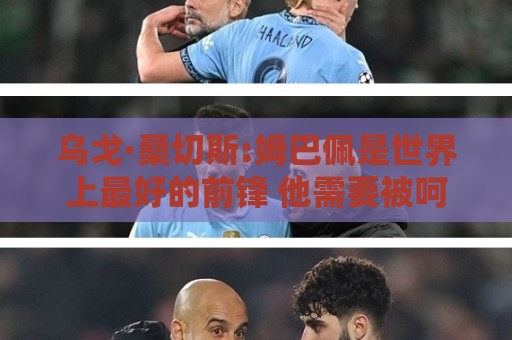 乌戈·桑切斯:姆巴佩是世界上最好的前锋 他需要被呵护保护和宠爱 乌戈·桑切斯:姆巴佩是世界上最好的前锋 他需要被呵护保护和宠爱
