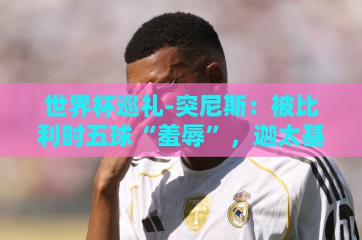 世界杯巡礼-突尼斯：被比利时五球“羞辱”，迦太基之鹰前途难测