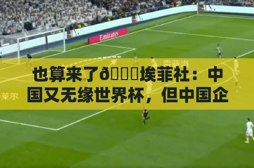 也算来了😅埃菲社:中国又无缘世界杯,但中国企业深度参与其中 也算来了😅埃菲社:中国又无缘世界杯,但中国企业深度参与其中