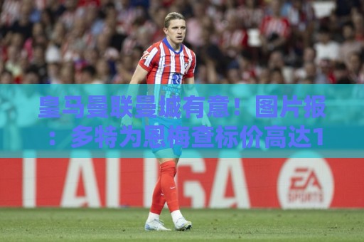 皇马曼联曼城有意!图片报:多特为恩梅查标价高达1.2亿欧元 皇马曼联曼城有意!图片报:多特为恩梅查标价高达1.2亿欧元
